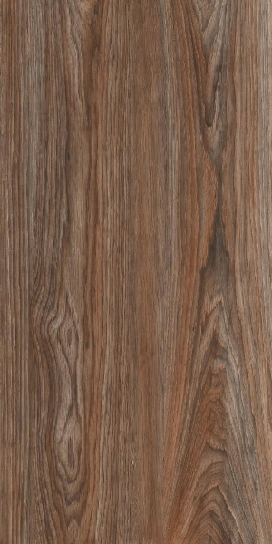 Forest Wood Brown