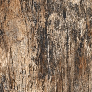 Timber Wood Rendom